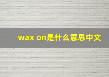 wax on是什么意思中文